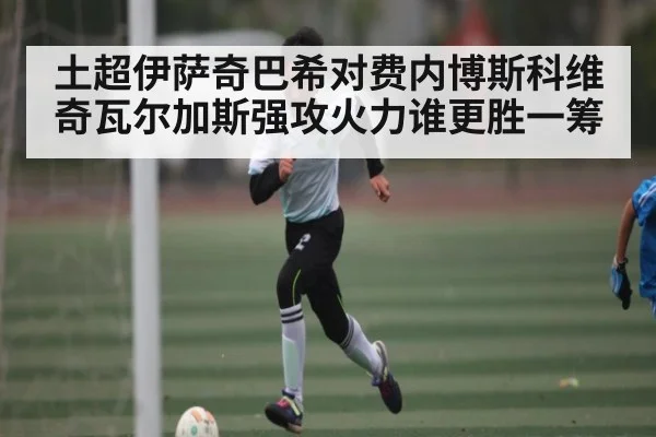 土超伊萨奇巴希对费内博斯科维奇瓦尔加斯强攻火力谁更胜一筹