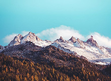 香港一名休班警察疑被困柬埔寨诈骗园区 亮出警察证后才脱困 警务处处长：他是安全的 已派人飞去救援